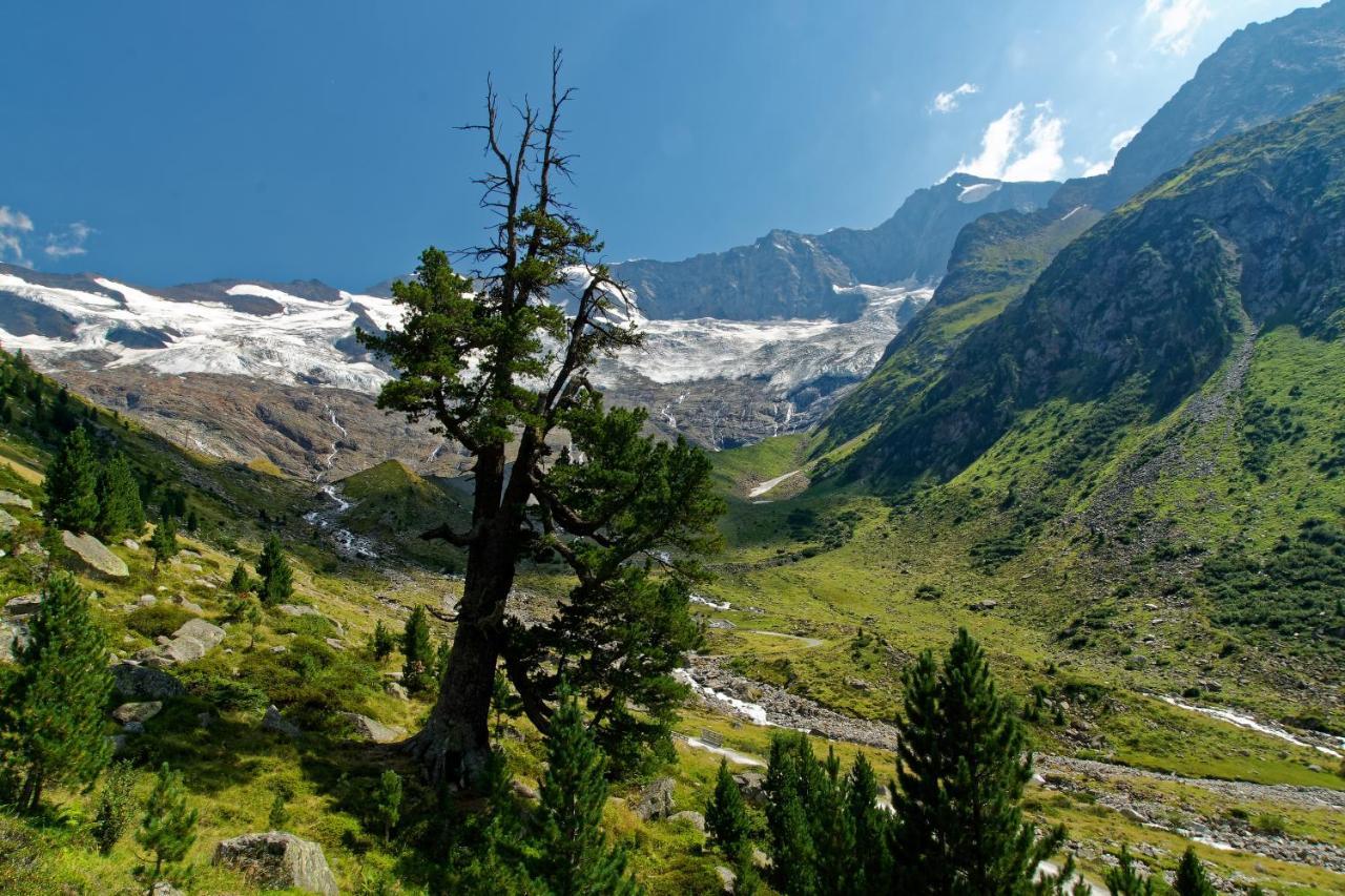 Appartements St. Leonhard Aschau Im Zillertal Екстериор снимка