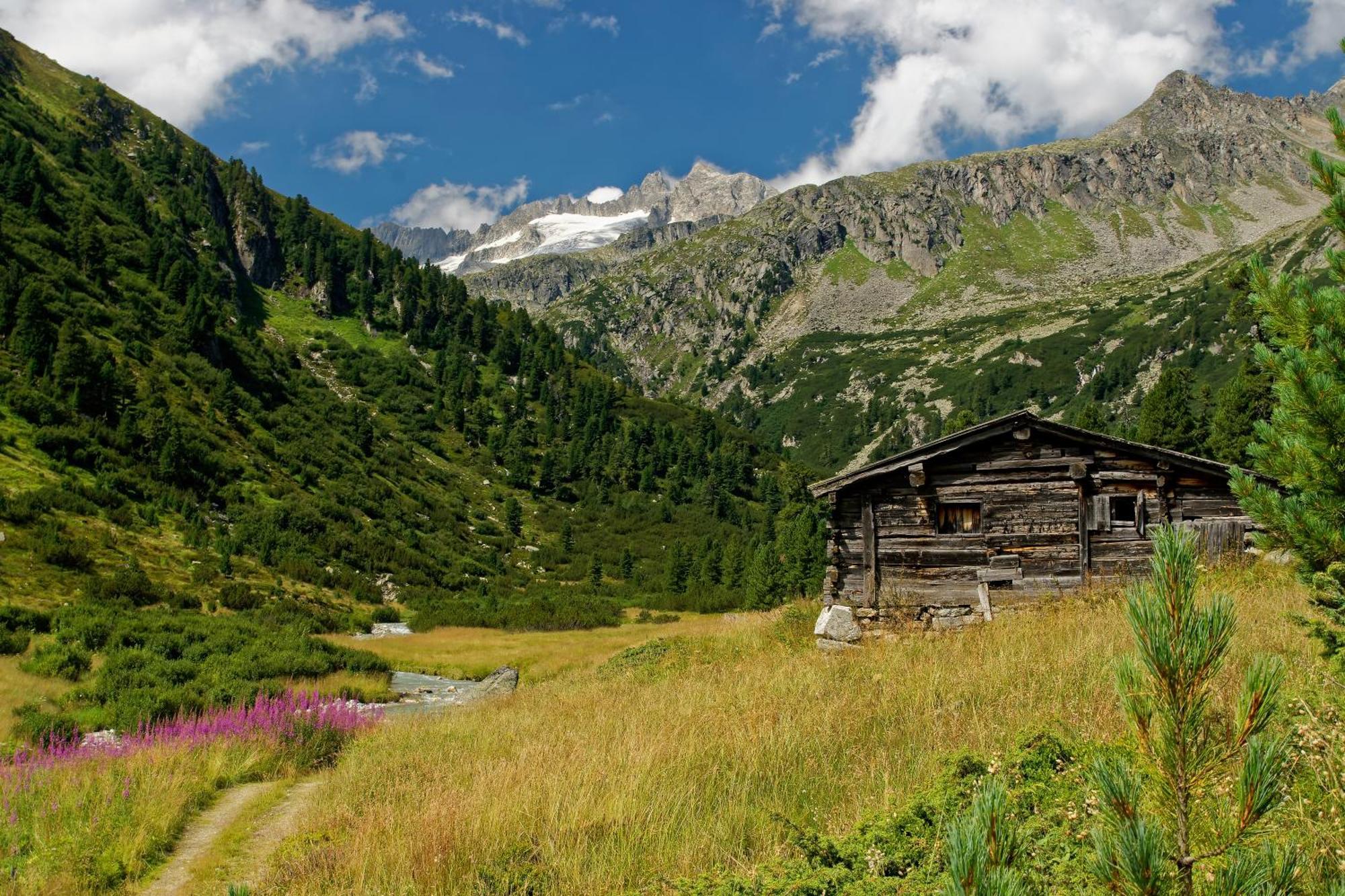 Appartements St. Leonhard Aschau Im Zillertal Екстериор снимка