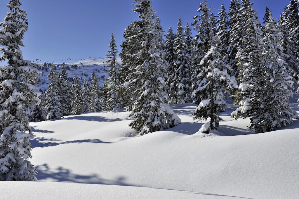 Appartements St. Leonhard Aschau Im Zillertal Екстериор снимка